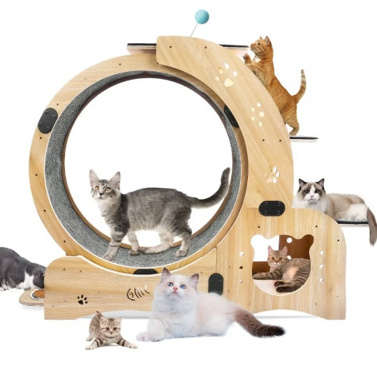 Cat Running Wheels – Silent & Durable