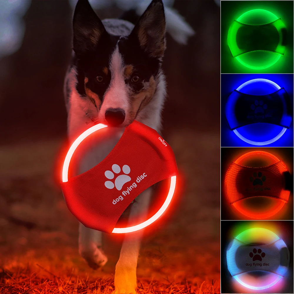 LED Glowing Dog Flying Disc – Light-Up Frisbee for Night Play & Training