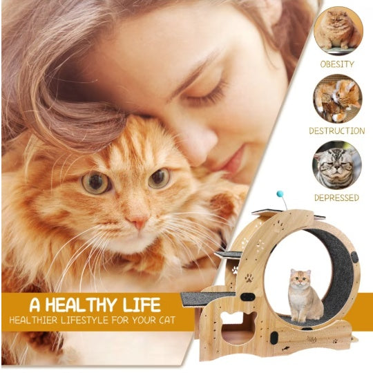 Silent Cat Running Wheel – Best Indoor Exercise Wheel for Cats