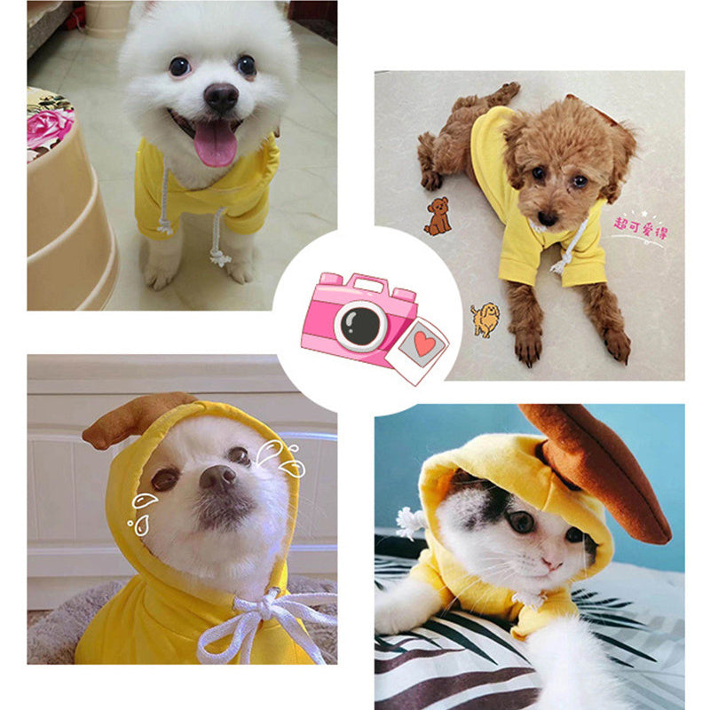 Cute Fruit Hoodie – Warm Winter Outfit for Small Dogs