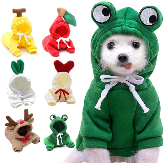 Cute Fruit Hoodie – Warm Winter Outfit for Small Dogs