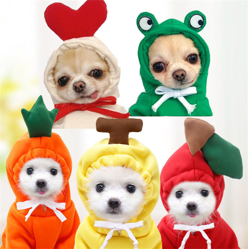 Cute Fruit Hoodie – Warm Winter Outfit for Small Dogs