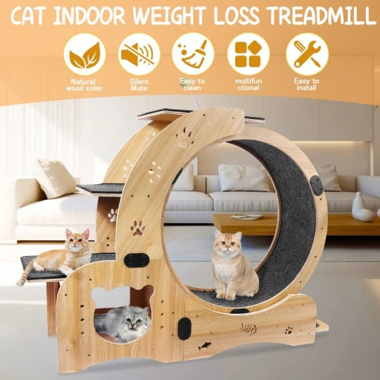 Silent Cat Running Wheel – Best Indoor Exercise Wheel for Cats