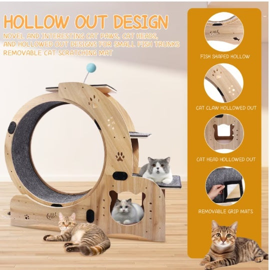 Silent Cat Running Wheel – Best Indoor Exercise Wheel for Cats