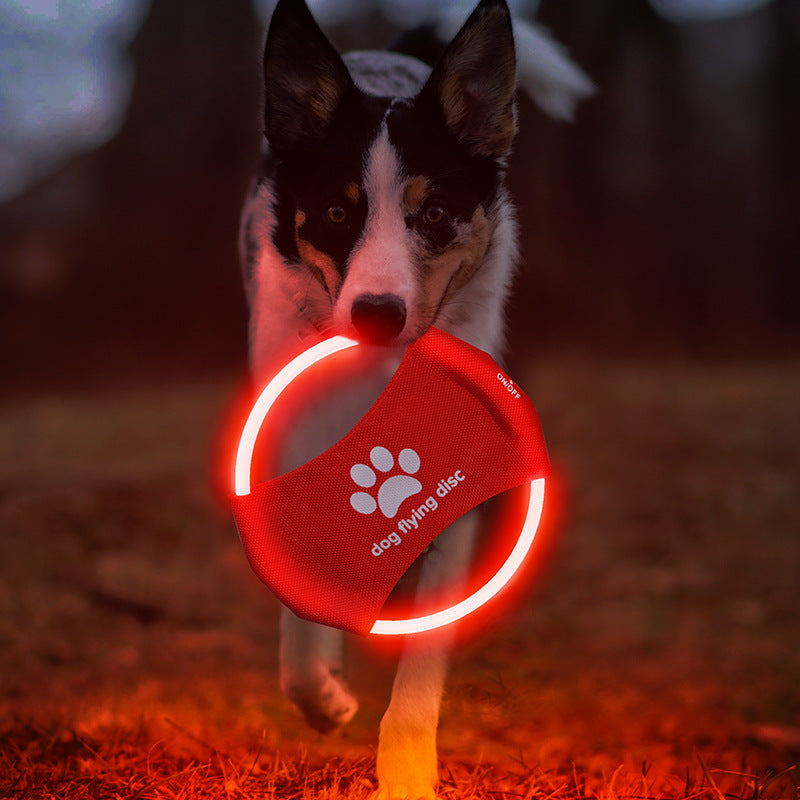 LED Glowing Dog Flying Disc – Light-Up Frisbee for Night Play & Training