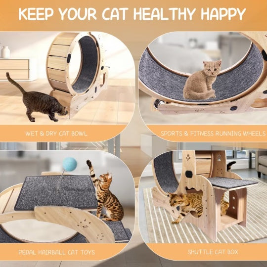 Silent Cat Running Wheel – Best Indoor Exercise Wheel for Cats